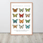 Framed poster with illustrations of butterflies and text on a white background