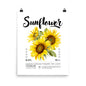Poster with sunflowers and text on a white background